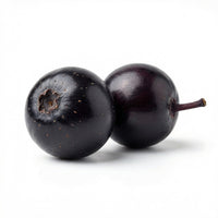 Black Elderberry