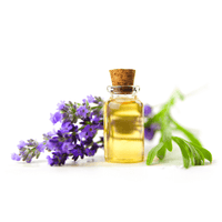 Lavender Oil