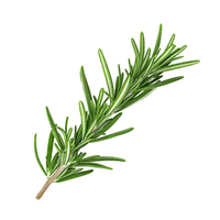 Rosemary