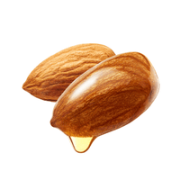 Organic Sweet Almond Oil