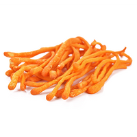Cordyceps Mushroom