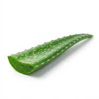 Aloe Vera Leaf Juice