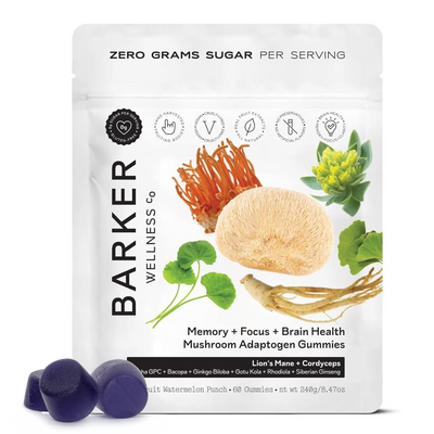 Brain Health, Memory & Focus – Mushroom Adaptogen Gummies