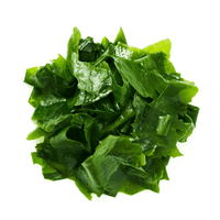 Patagonian Wakame Seaweed
