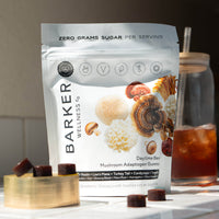 Day & Night Mushroom Adaptogen Duo